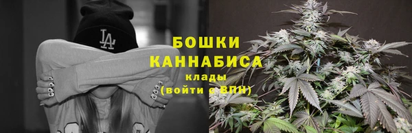 молекула духа Протвино