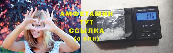 винт Ельня