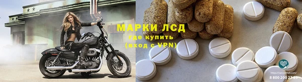 винт Ельня