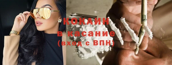 винт Ельня