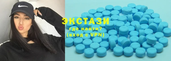 винт Ельня