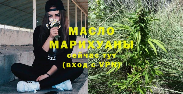 винт Ельня