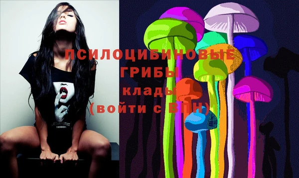 2c-b Елабуга