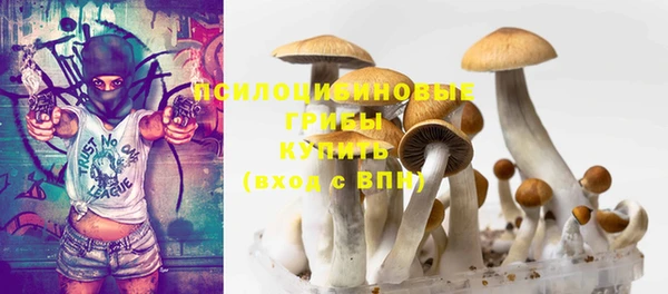молекула духа Покачи