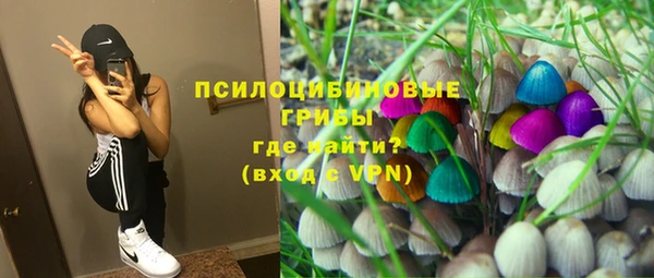 винт Ельня