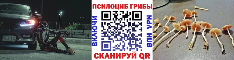 Галлюциногенные грибы GOLDEN TEACHER  хочу   Жуковка 